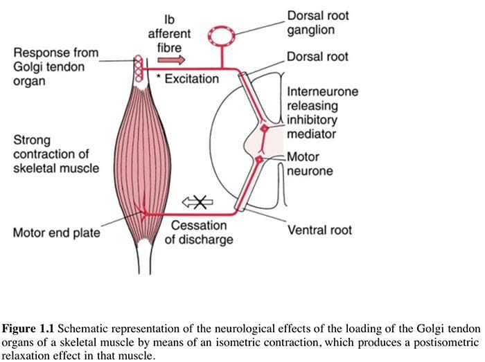 muscle energy techniques