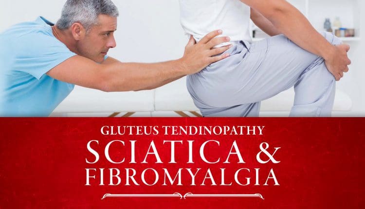 Gluteal Medius Tendinopathy Archives - Chiropractic Scientists | 915 ...