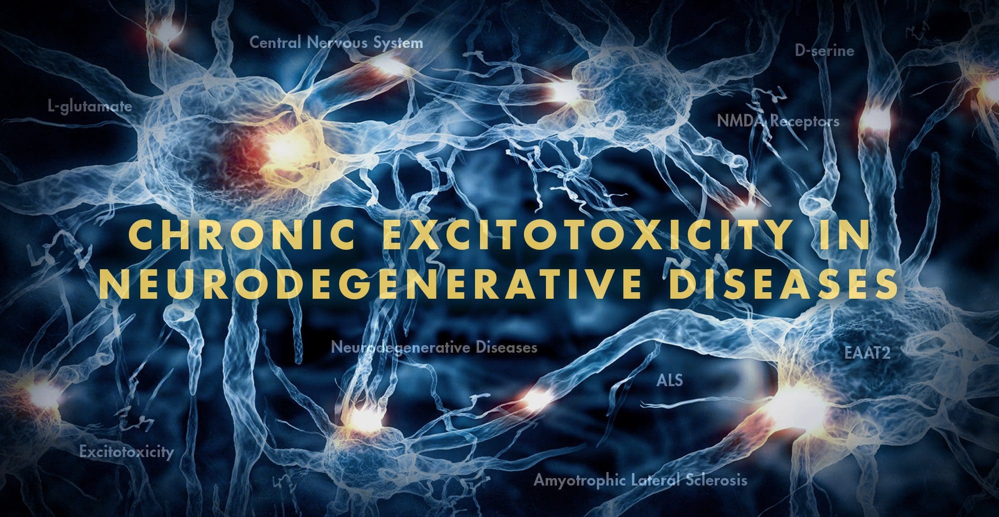 Functional Neurology Chronic Excitotoxicity in