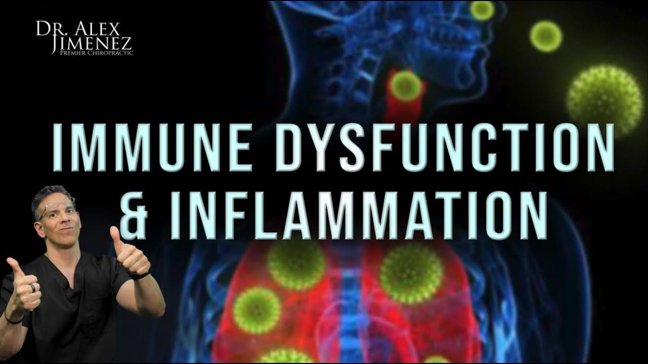 What is Immune Dysfunction and Inflammation? - A Primary Mechanism | El ...